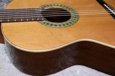 Paco Castillo / パコ・カスティージョ 【小物6点サービス!】201 杉 / サペリ #27621 【綺麗な音色です】【スペインブランド】【池袋店在庫品】_6