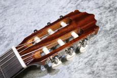 Paco Castillo / パコ・カスティージョ 【小物6点サービス!】201 杉 / サペリ #27621 【綺麗な音色です】【スペインブランド】【池袋店在庫品】_8