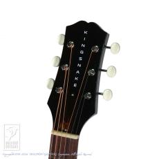 KING SNAKE Yucca (Black)_7