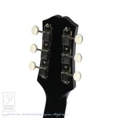 KING SNAKE Yucca (Black)_8