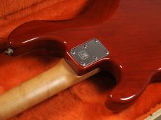 MUSIC MAN Sting Ray 20th Anniversary_12