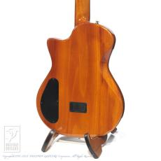 Bromo Guitars BEN2C tbk (Trans Black)_4