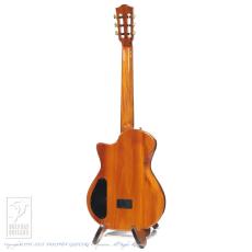 Bromo Guitars BEN2C tbk (Trans Black)_5