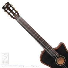 Bromo Guitars BEN2C tbk (Trans Black)_6