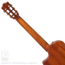 Bromo Guitars BEN2C tbk (Trans Black)_7