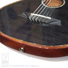 Bromo Guitars BEN2C tbk (Trans Black)_14