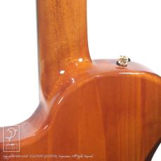 Bromo Guitars BEN2C tbk (Trans Black)_15