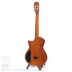 Bromo Guitars BEN2C_5