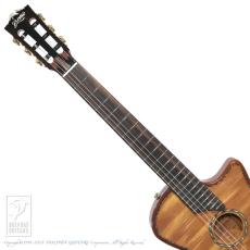 Bromo Guitars BEN2C_6