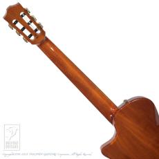 Bromo Guitars BEN2C_7