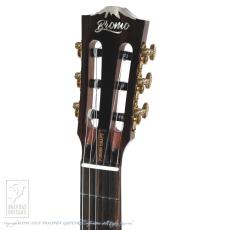Bromo Guitars BEN2C_8