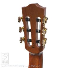 Bromo Guitars BEN2C_9