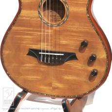 Bromo Guitars BEN2C_12