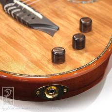 Bromo Guitars BEN2C_13