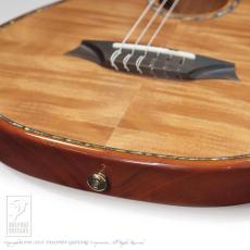 Bromo Guitars BEN2C_14