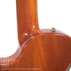 Bromo Guitars BEN2C_15