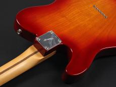 Fender Player II Telecaster Rosewood Fingerboard ~Aged Cherry Burst~_11