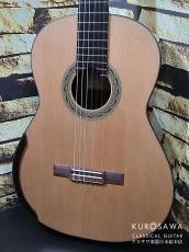 Kim Lissarrague キム・リサラグ 杉・ジリコテ ラティス アーチバック 20フレット 最新作!【クロサワ楽器日本総本店2F 在庫品】_2