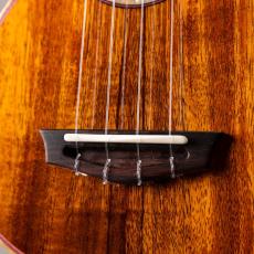 Truth THS-2393 CAT_3