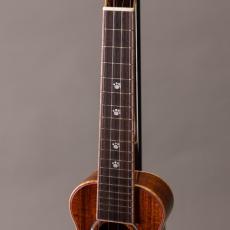 Truth THS-2393 CAT_5