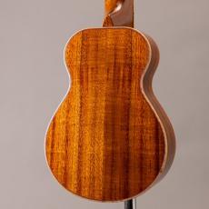 Truth THS-2393 CAT_9