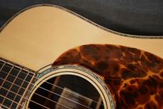 ASTURIAS D EMBLEM_11