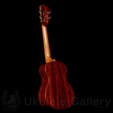 Lotus Acoustics Grand Tenor Custom - Koa / Cocobolo -_3