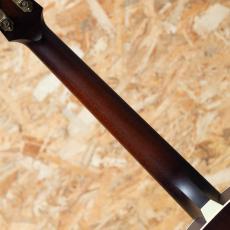 IRIS GUITAR COMPANY The BB Model Tobacco Burst_7