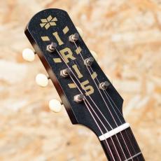 IRIS GUITAR COMPANY The BB Model Tobacco Burst_8