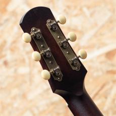 IRIS GUITAR COMPANY The BB Model Tobacco Burst_9