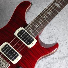 Paul Reed Smith [PRS] SE Custom 24 ~Rubyl~ #CTI H073584 [3.36kg]_2