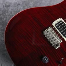 Paul Reed Smith [PRS] SE Custom 24 ~Rubyl~ #CTI H073584 [3.36kg]_3