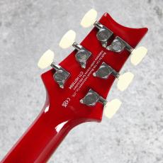 Paul Reed Smith [PRS] SE Custom 24 ~Rubyl~ #CTI H073584 [3.36kg]_9