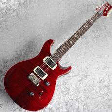 Paul Reed Smith [PRS] SE Custom 24 ~Rubyl~ #CTI H073584 [3.36kg]_10