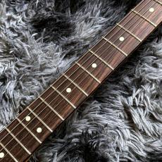 Fender American Professional Classic Hotshot Telecaster Faded Sherwood Green Metallic【特価】_5