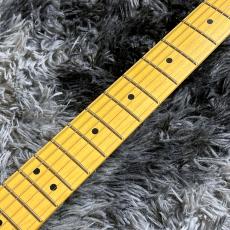 Fender American Professional Classic Stratocaster Faded Firemist Gold / Maple【特価】_5