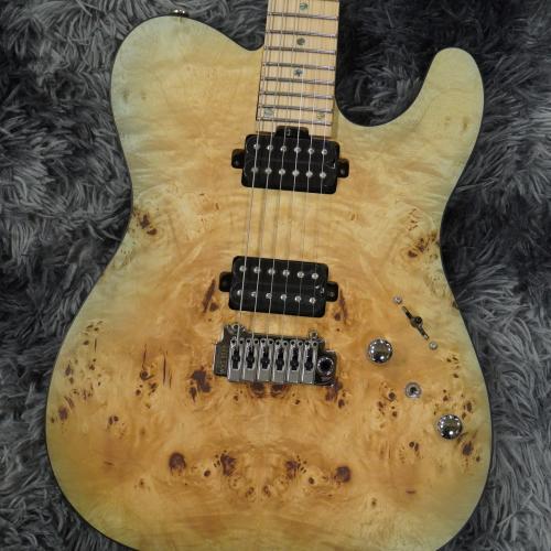 Bacchus TACTICS24-BP/M KRB-BS-MH  渓流ブルー バーストサテン -Japan Tune-up Series-【特価】