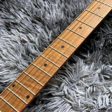 Bacchus BSH-900ASH/RSM SBBD -Global Series-【生産完了特価】_5