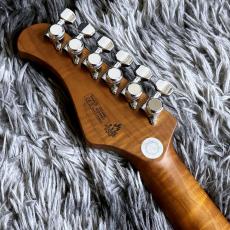 Bacchus BSH-900ASH/RSM SBBD -Global Series-【生産完了特価】_7
