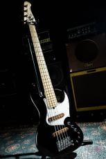 XOTiC XJ-1T 5st / 2014_2