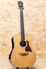 Taylor Gold Label 710e_3