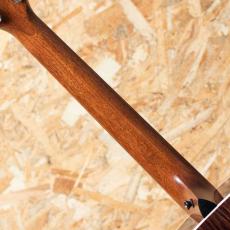 Taylor Gold Label 710e_7