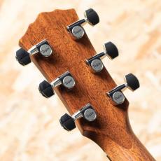 Taylor Gold Label 710e_9