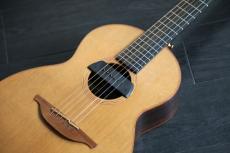 Lowden WL-25　ピックアップ付き　_6