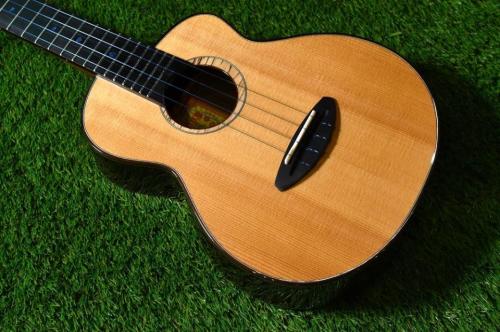 aNueNue UT330 BLUE BIRD Tenor