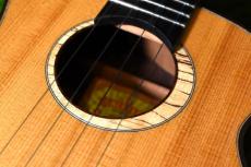 aNueNue UT330 BLUE BIRD Tenor_11