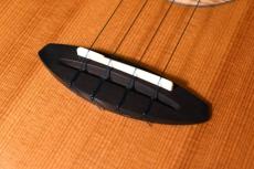 aNueNue UT330 BLUE BIRD Tenor_12
