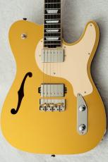 Kz Guitar Works Kz TL Trad Semi-Hollow 22 2H8 Custom w/Brazilian Rosewood -Gold Top-_3