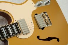 Kz Guitar Works Kz TL Trad Semi-Hollow 22 2H8 Custom w/Brazilian Rosewood -Gold Top-_5
