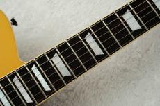 Kz Guitar Works Kz TL Trad Semi-Hollow 22 2H8 Custom w/Brazilian Rosewood -Gold Top-_8